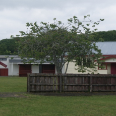 Otenuku Marae